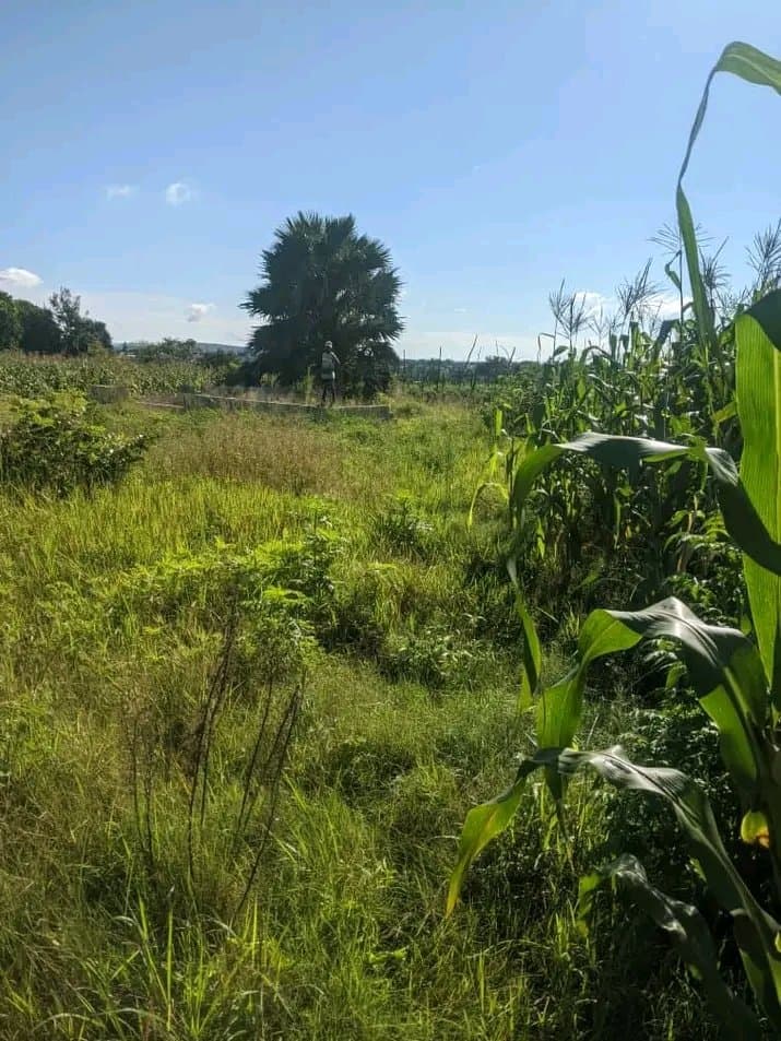 Land for sale in chongwe town