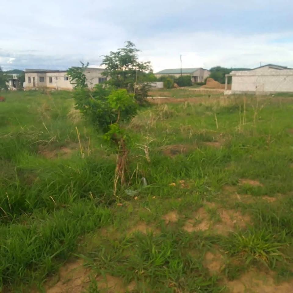 Plot for sale in kasupe yellow shop 🟡 HURRY DON'T MISS OUT K55,000 NEGOTIABLE 20M BY 35M PLOT FOR